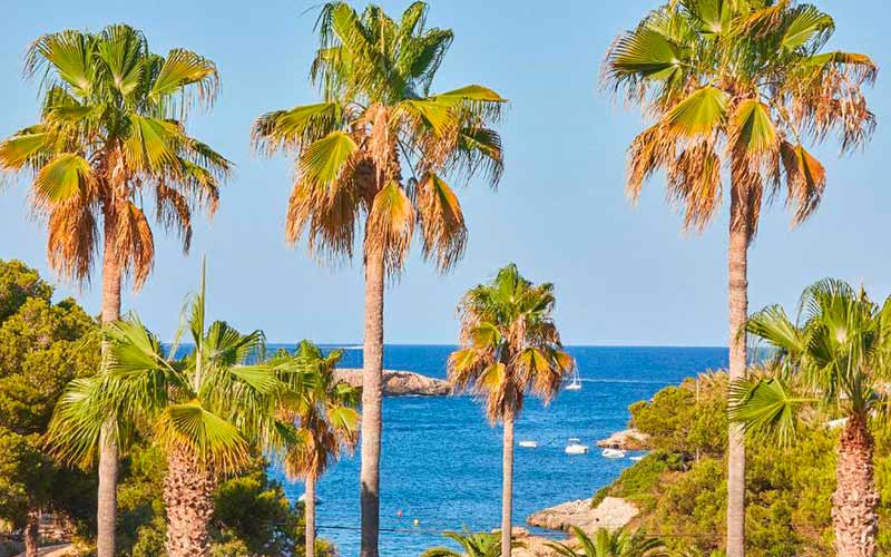 bed superior room sea view hotel rocamarina